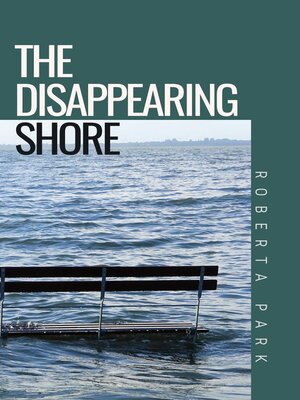 cover image of The Disappearing Shore